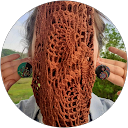 Fly rent car - noleggio auto sicilia 38 Fly rent car |