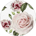 Fly rent car - noleggio auto sicilia 43 Fly rent car |